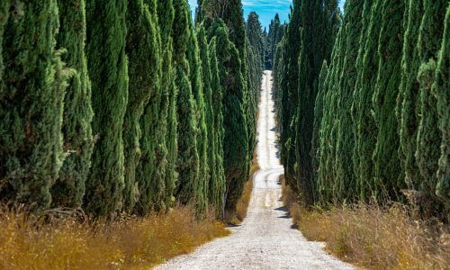 markus-naturevisions-ch-gadtuRwlwJU-unsplash (1)