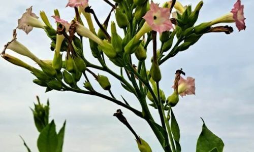 michael-schreiber-U98sU5AFfNc-unsplash (1)