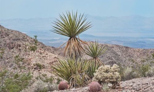 michael-yantis--AxoXjuGY94-unsplash (1)