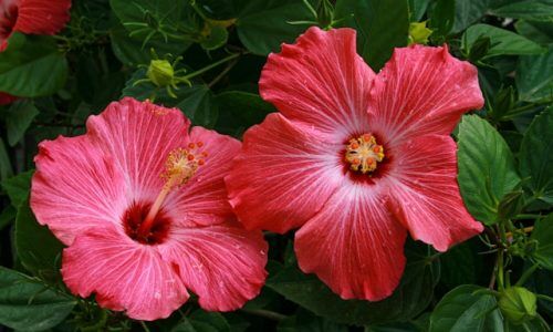 mick-haupt-exLsCzoU8_M-unsplash