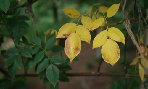 naoki-suzuki-G33ZM2rwiOg-unsplash