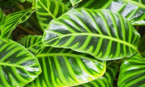 natary-t-omeXp76nIbk-unsplash (1)