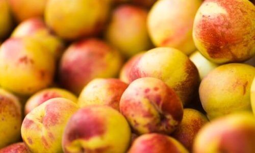 patrick-fore-Hv1PMQpe3fs-unsplash (1)