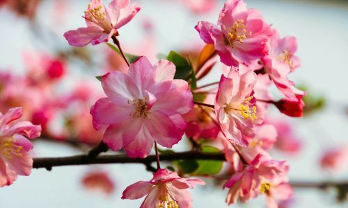 psycho-kev-N5S5yRkbWdg-unsplash (1)