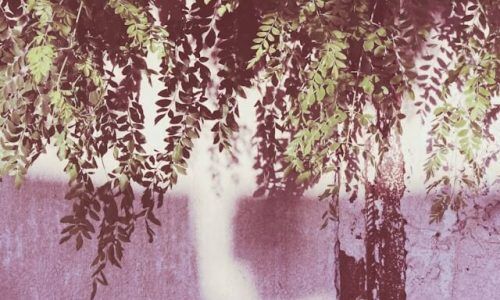 qurratul-ayin-sadia-H1S8eibGB5o-unsplash (1)