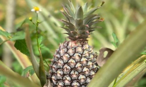 romy-vreeswijk-gVQZSGcFfqQ-unsplash (1)