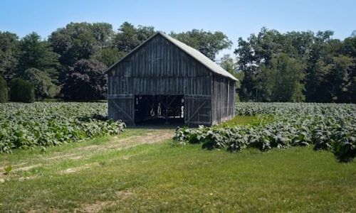 rusty-watson-23v1D4j8vO4-unsplash (1)