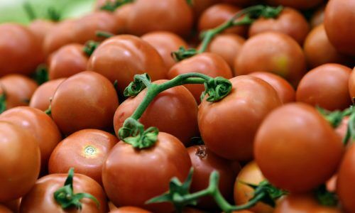 shraga-kopstein-F2gfu2SeK1A-unsplash