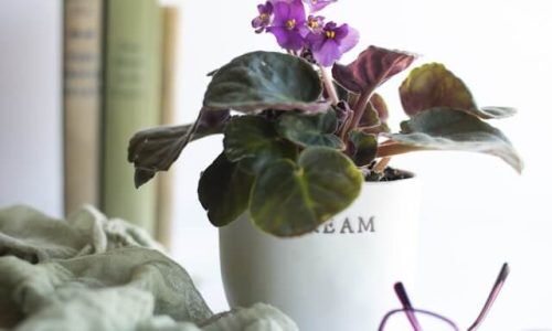 sixteen-miles-out-590CL9EbVRo-unsplash (1)