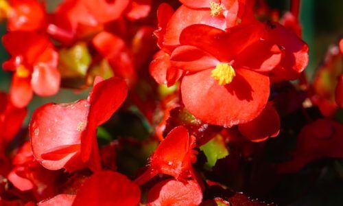 tadeusz-zachwieja-1mrfJhgwbLI-unsplash