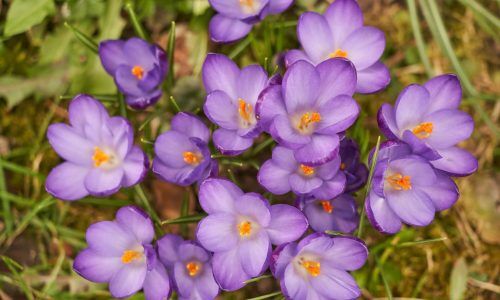 wolfgang-hasselmann-hFDPfVVFZT4-unsplash (1)