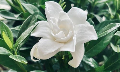 xu-jiebing-P87fZdT65Dg-unsplash