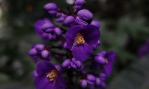 yan-ots-FUS5TwbRg-Q-unsplash (1)