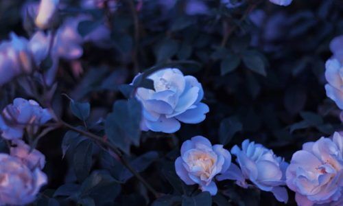 yousef-espanioly-0iOOw41DZ28-unsplash