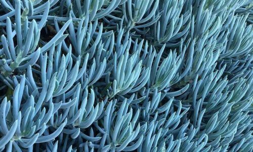 102551150_619896591961108_6904665236257904624_n (1)