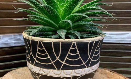 139354265_1306454913066902_827064077320320421_n (1)