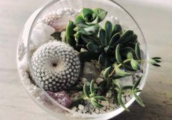 166051692_2758776141103256_5874386242484648462_n (1)