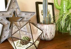 18011705_1922833337953523_5930371695629041664_n (1)