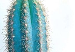 241183056_2684817668491758_5162715483945974963_n (1)