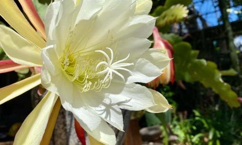 248067563_321117449775053_3699860712957589451_n (1)