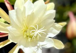 250203171_579094446672827_3981240417953800129_n (1)