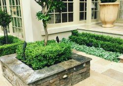 25037784_432184803863088_9177657869539999744_n (1)