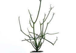 295973199_123198860436783_8235377432783436664_n (1)