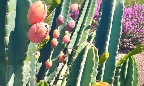 298073195_770994977277334_2263127051266144608_n (1)