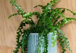 328508669_857992288810031_1870112062026855518_n