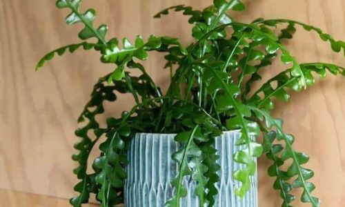 328508669_857992288810031_1870112062026855518_n