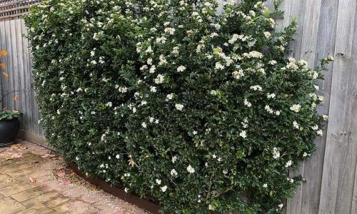 343811966_1598124634019766_4755887293729739562_n (1)