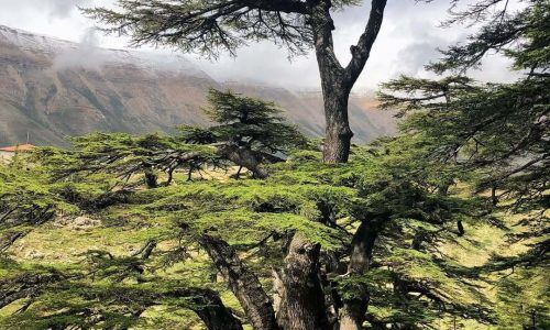 351195053_1091551825135784_3801399388744972479_n (1)