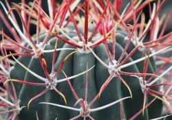 363499771_1155850331806012_8615217520642355928_n (1)