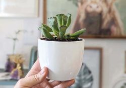 372558900_1240110660001189_5137029796146877193_n