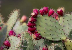 381099010_358196406536225_964349959270326493_n (1)