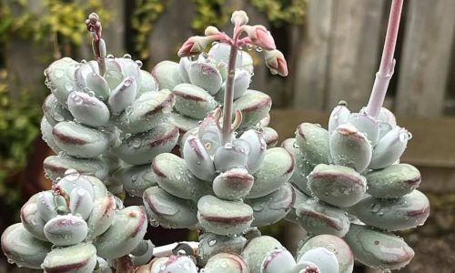 437482140_790927309697307_5762918637719019700_n (1)