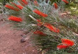 438583480_453046217070265_3207945998618632110_n (1)