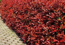 461015491_3856017464719780_8430639201845366886_n (1)