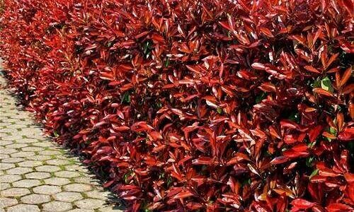 461015491_3856017464719780_8430639201845366886_n (1)