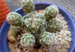 464173008_18222792652305209_8102401384335679421_n (1)