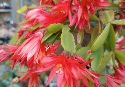 464366461_1743520833065061_1466436361270277376_n