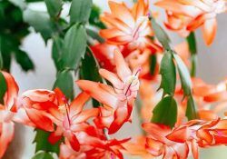 468026748_18470620420053307_5504815686496365162_n (1)