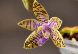 479783139_18035318303613732_5492660486763011914_n (1)