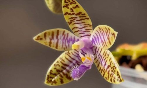 479783139_18035318303613732_5492660486763011914_n (1)