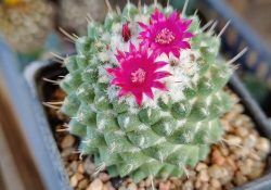 480234348_612640978295609_4283881152213534855_n