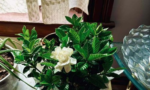 480974258_10227530854518367_62180869235640572_n (1)