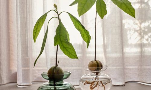 481146627_18497852962012868_2971697249893701830_n