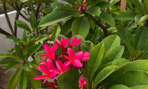 482375510_18372657589186910_5288919334913359631_n (1)