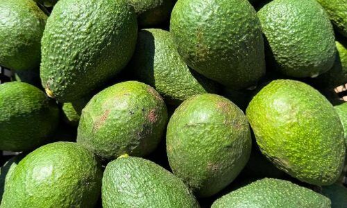 482538488_18491875438034734_5651672367799318253_n (1)