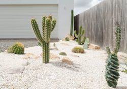 484014399_1149596853620553_5689592381994611231_n